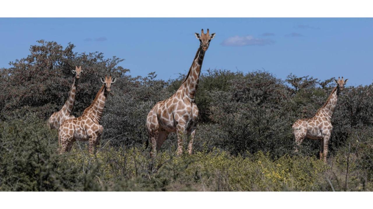 Sandune Game Lodge Gobabis Bagian luar foto
